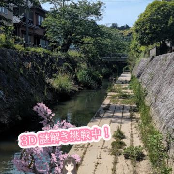 さくぺろさんのナゾ活写真 1