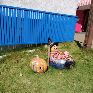 ししょうさんのナゾ活写真 1