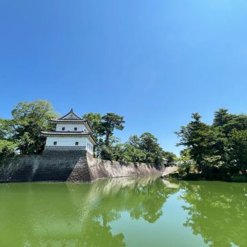おもちさんのナゾ活写真 1