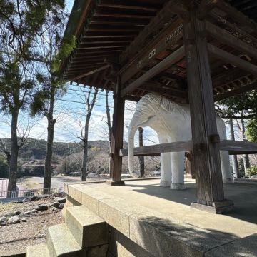 まぬるねこさんのナゾ活写真 3