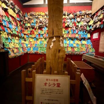 まぬるねこさんのナゾ活写真 2