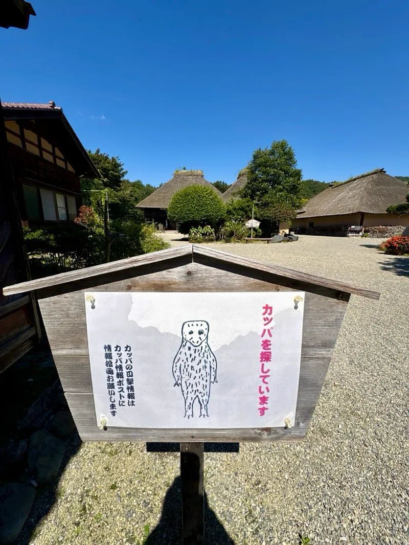 まぬるねこさんのナゾ活写真 3
