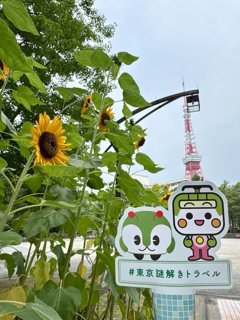 『東京謎解きトラベル』のナゾ活写真