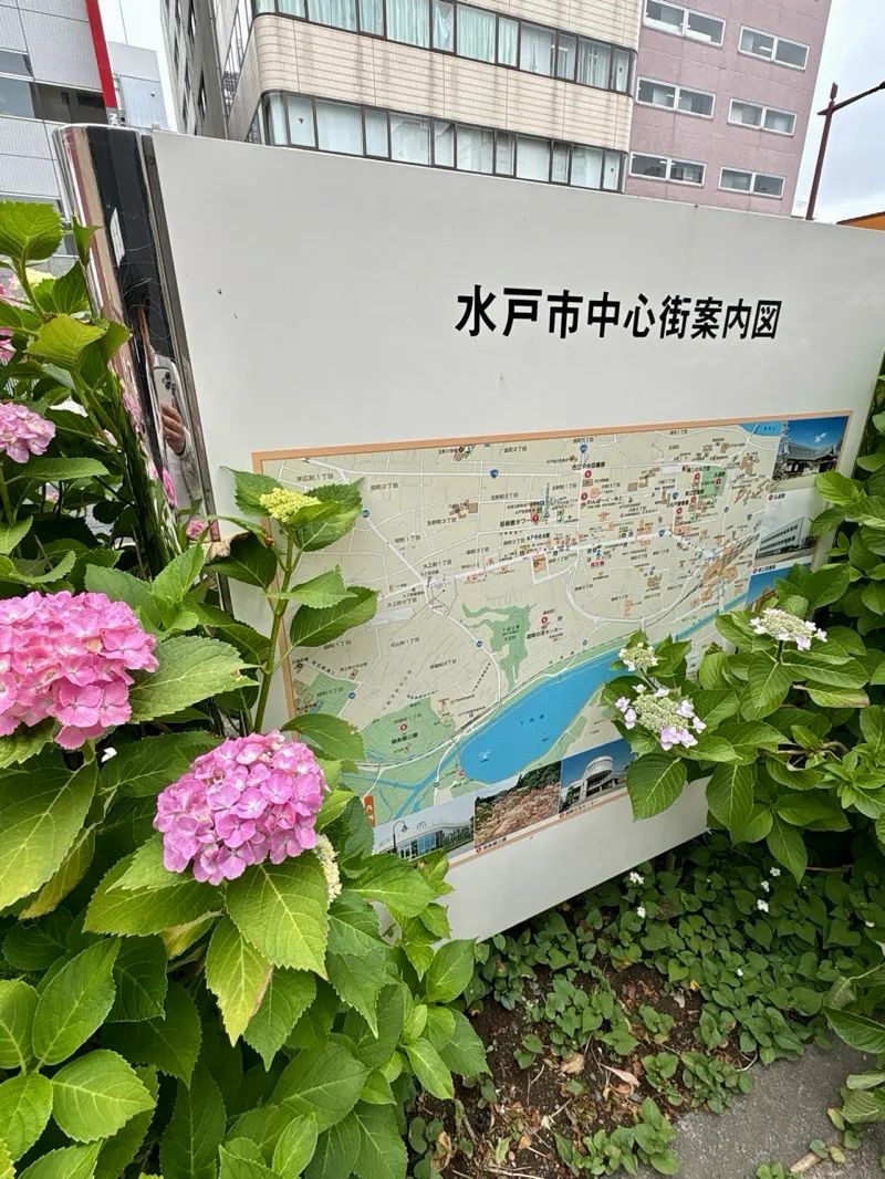 水戸まちなか謎巡り 君色オセロのナゾ活写真