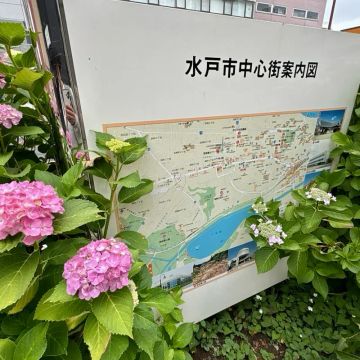 まぬるねこさんのナゾ活写真 3