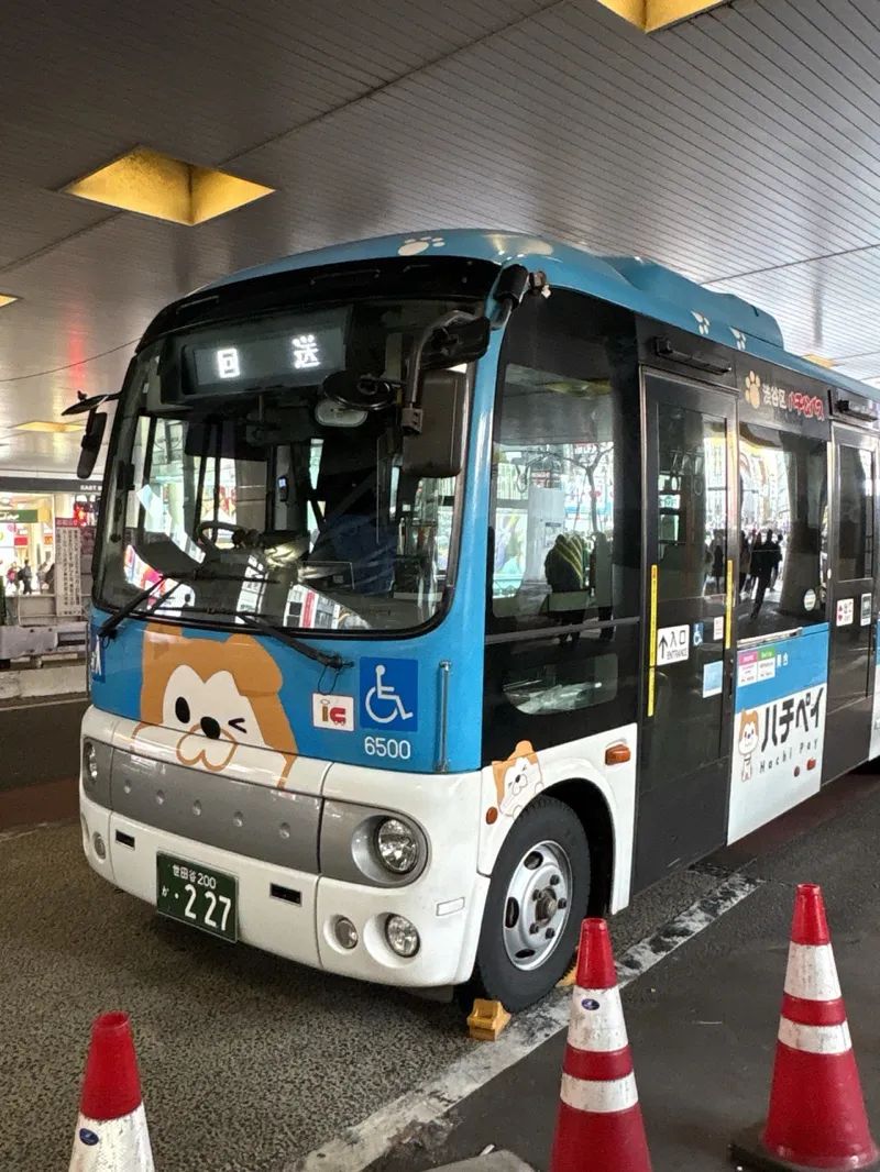 PROJECT ZIRCON –渋谷に現れし謎の4大国- suported by SHIBUYA Q DAOのナゾ活写真