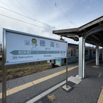 まぬるねこさんのナゾ活写真 3