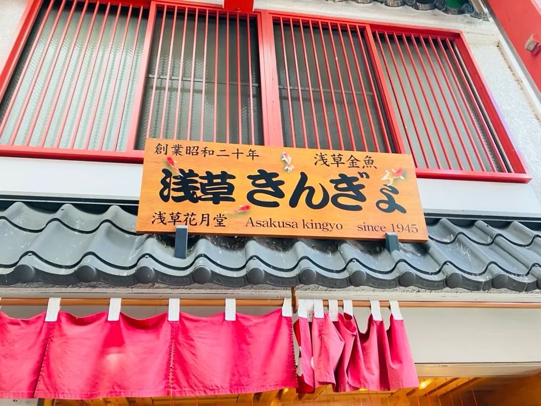 『浅草謎解き街歩き』のナゾ活写真