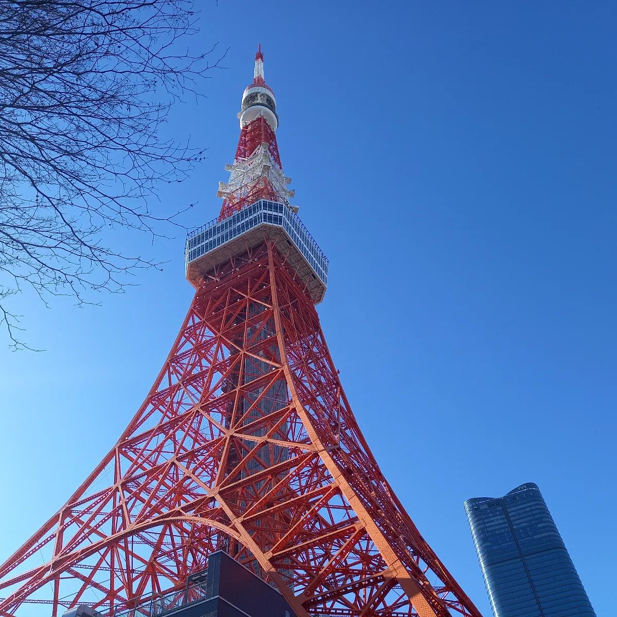 りらっくまーくんさんのナゾ活写真 1