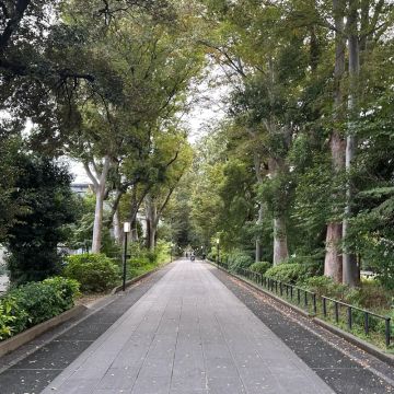 Tomii9273さんのナゾ活写真 2