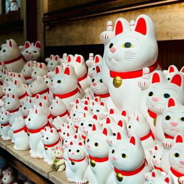 ながねぎさんのナゾ活写真 2