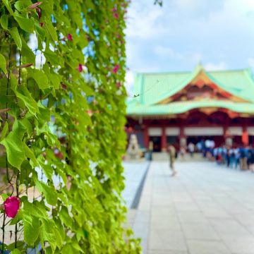 ながねぎさんのナゾ活写真 1