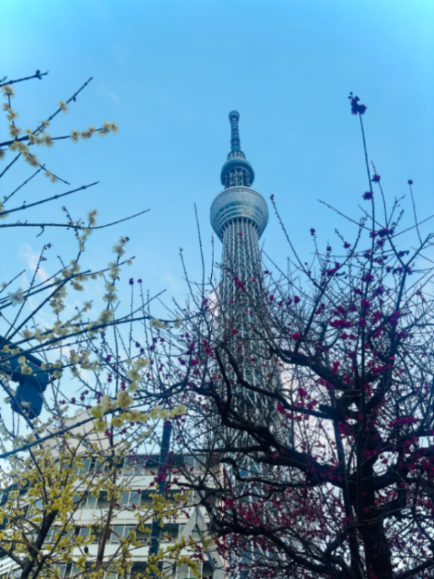 あの街で待っているのナゾ活写真