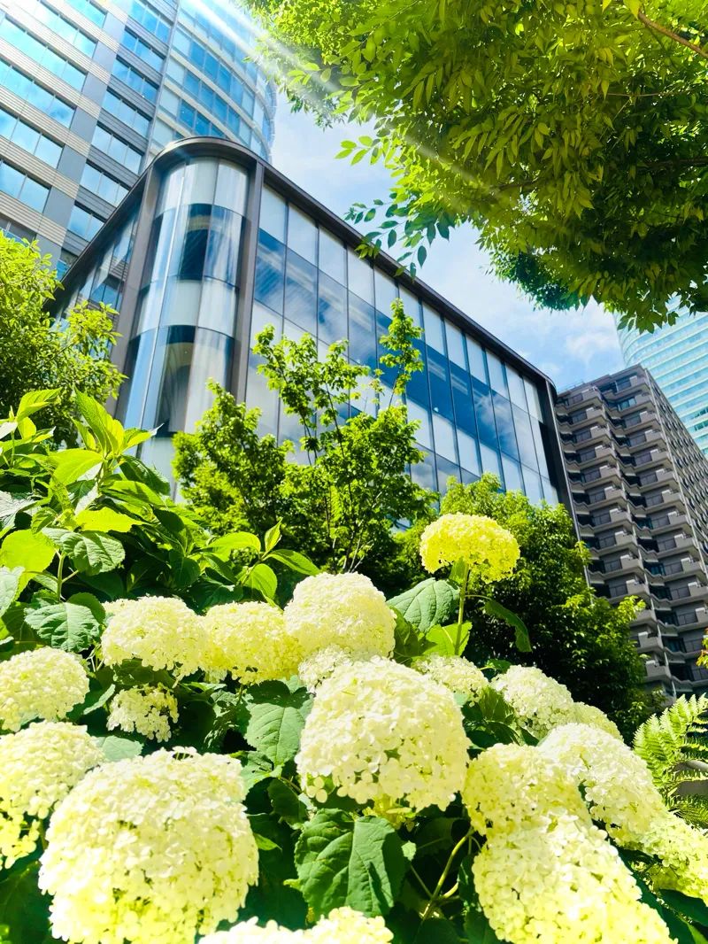 東京メトロ謎解きガイドブック 宝石をたどる路線図のナゾ活写真