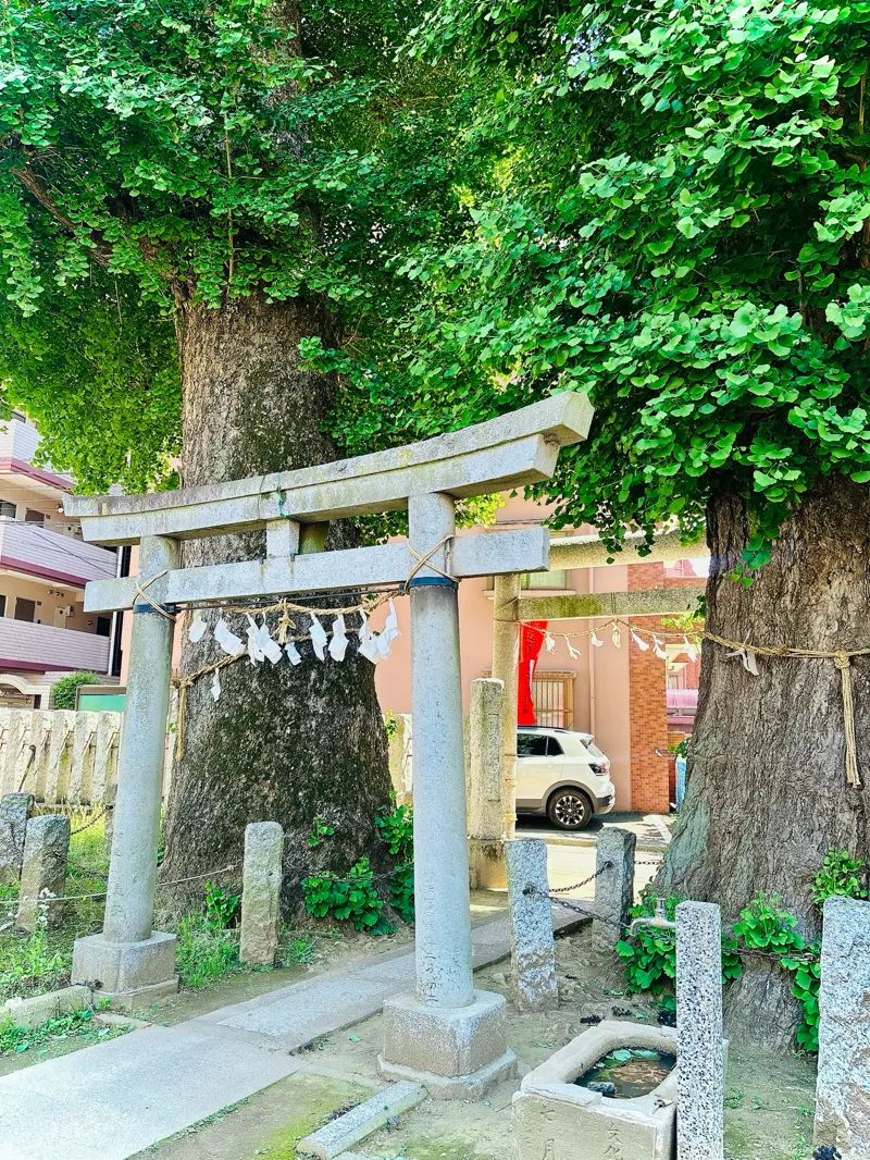 川越ナゾトキ奇譚　城下に漂う記憶と不思議な儀式のナゾ活写真