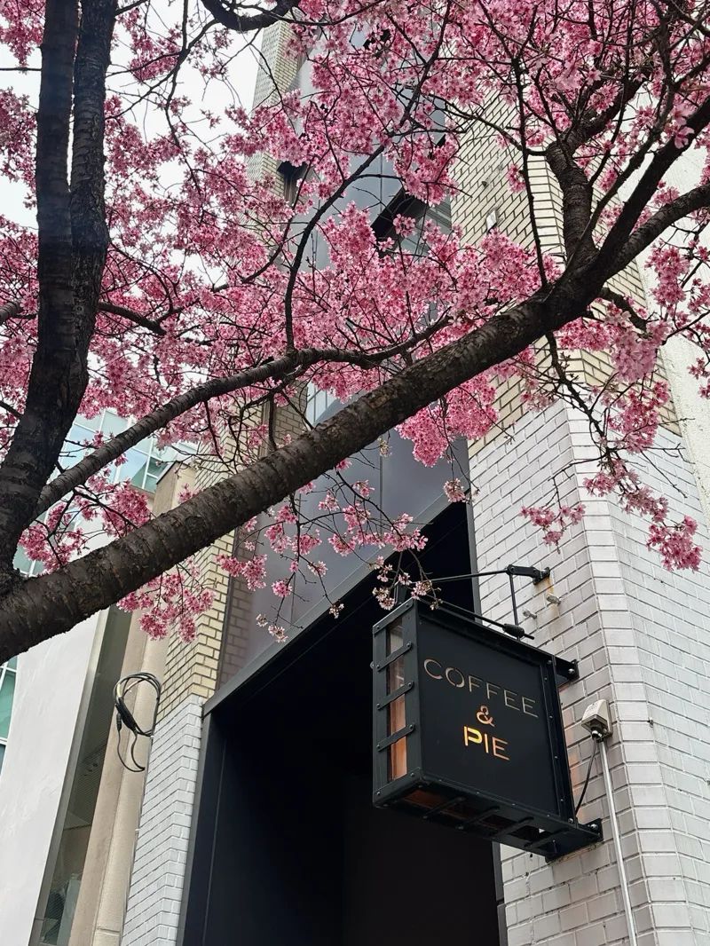 新麒楼　（日本橋周遊編＋遺留物調査編＋解決編）のナゾ活写真
