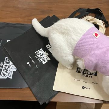 スナさんのナゾ活写真 1