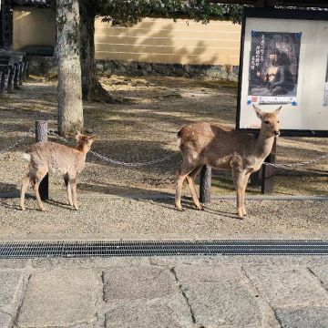 ちょび子さんさんのナゾ活写真 3