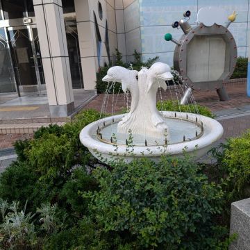 いたこさんのナゾ活写真 1