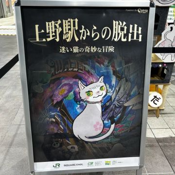ハナさんのナゾ活写真 1