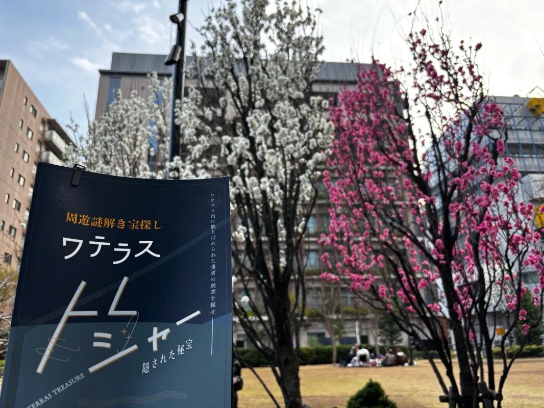 ワテラス トレジャー 隠された秘宝のナゾ活写真