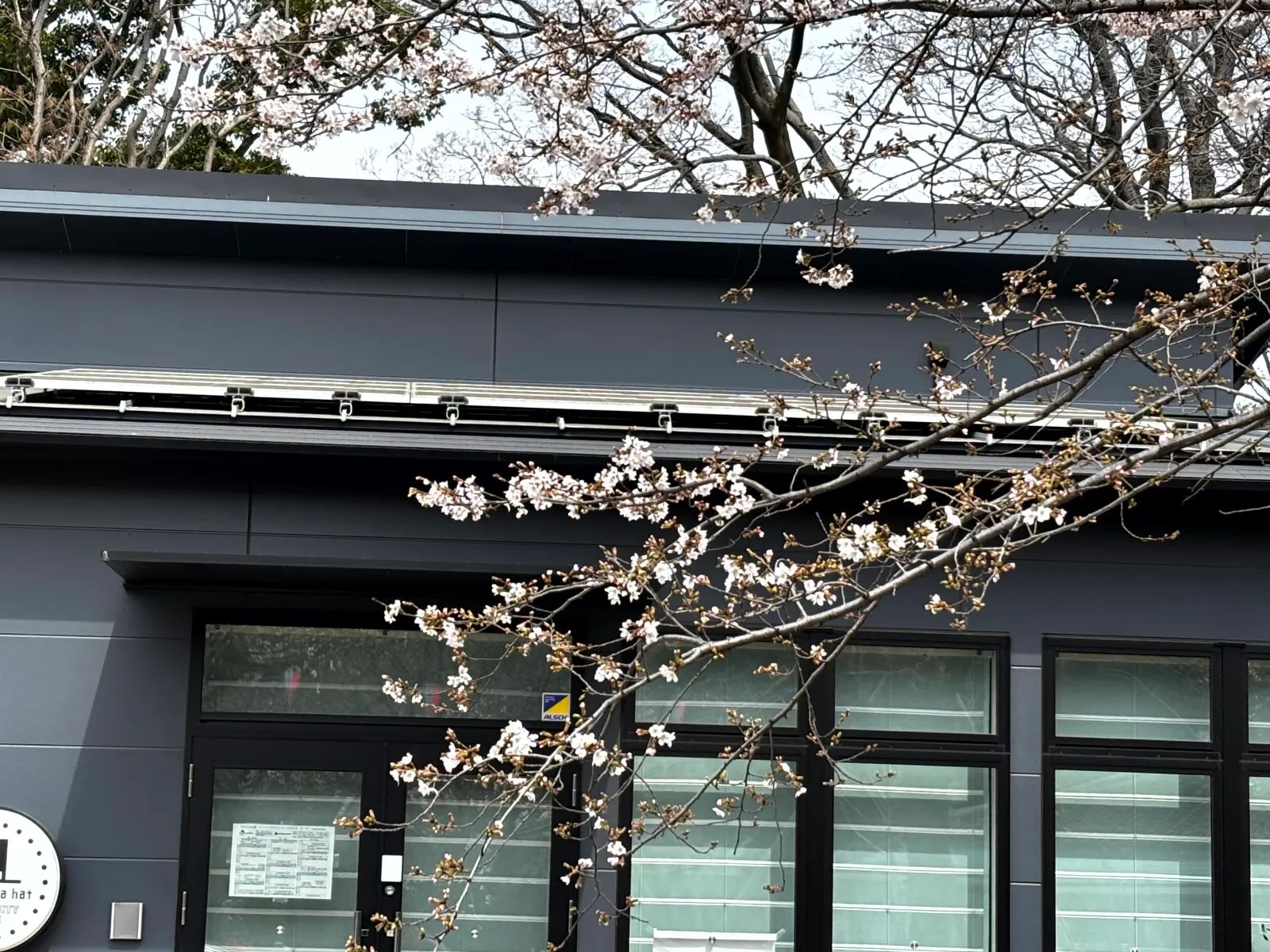 飛鳥山公園×謎解き　失われた教科書を修復せよのナゾ活写真