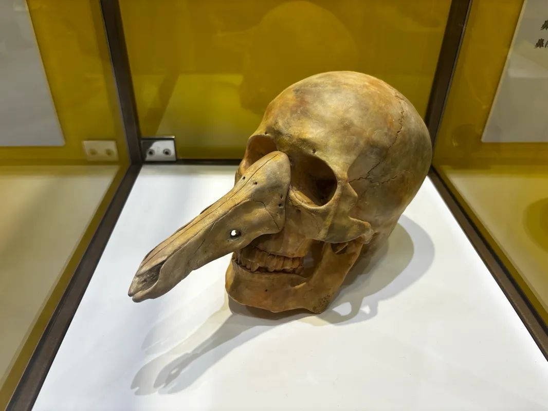 調査型展示「地図にない国 パンジャ王国展」のナゾ活写真