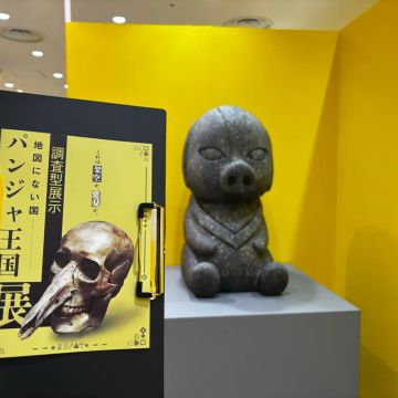 ハナさんのナゾ活写真 1