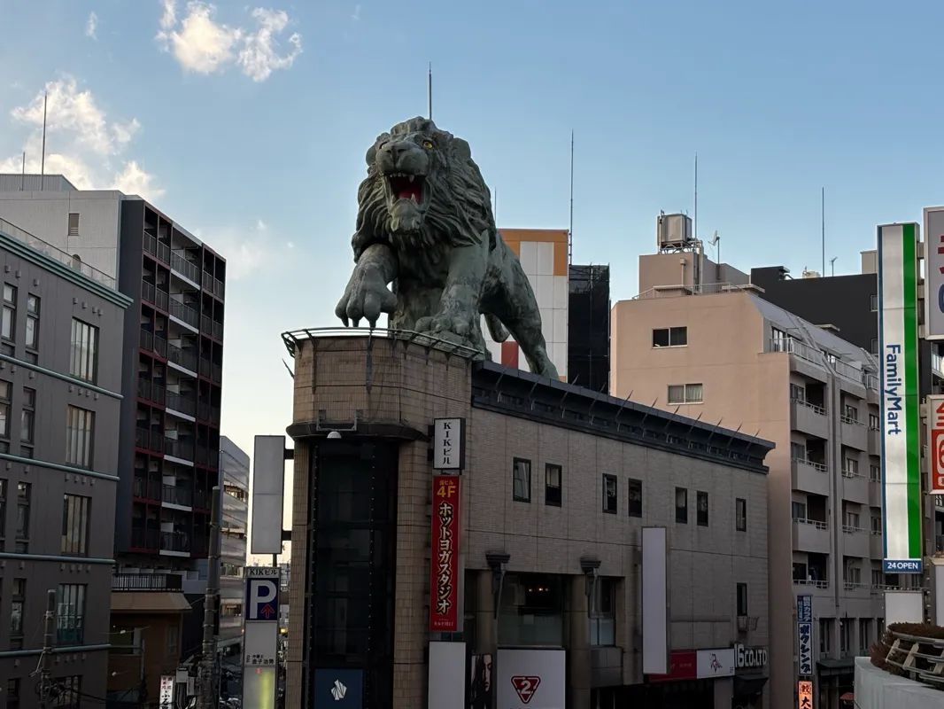 謎めくカワグチ探偵局のナゾ活写真