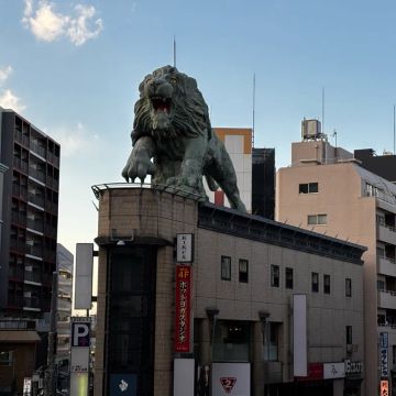 ハナさんのナゾ活写真 2