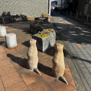 ハナさんのナゾ活写真 2