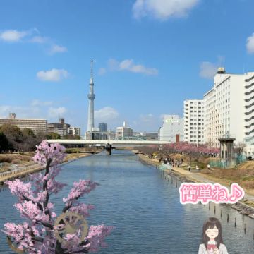 ハナさんのナゾ活写真 2