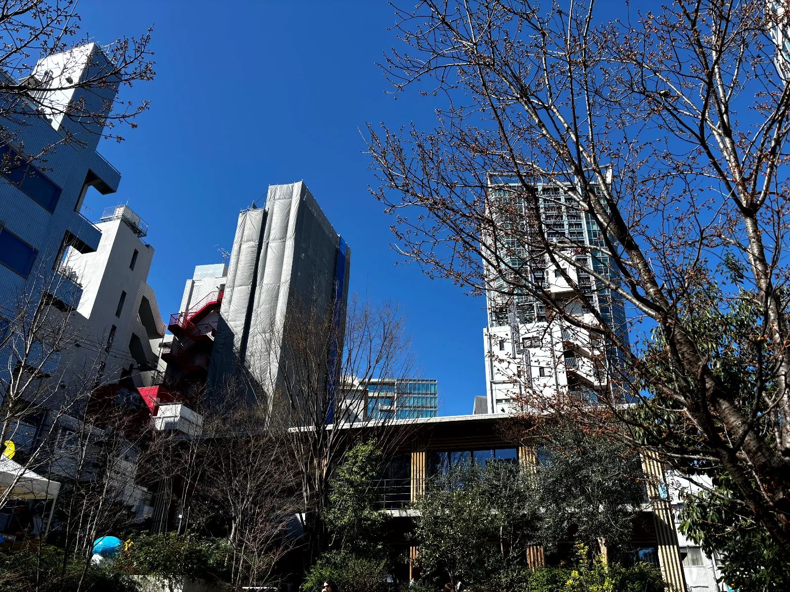 PROJECT ZIRCON –渋谷に現れし謎の4大国- suported by SHIBUYA Q DAOのナゾ活写真
