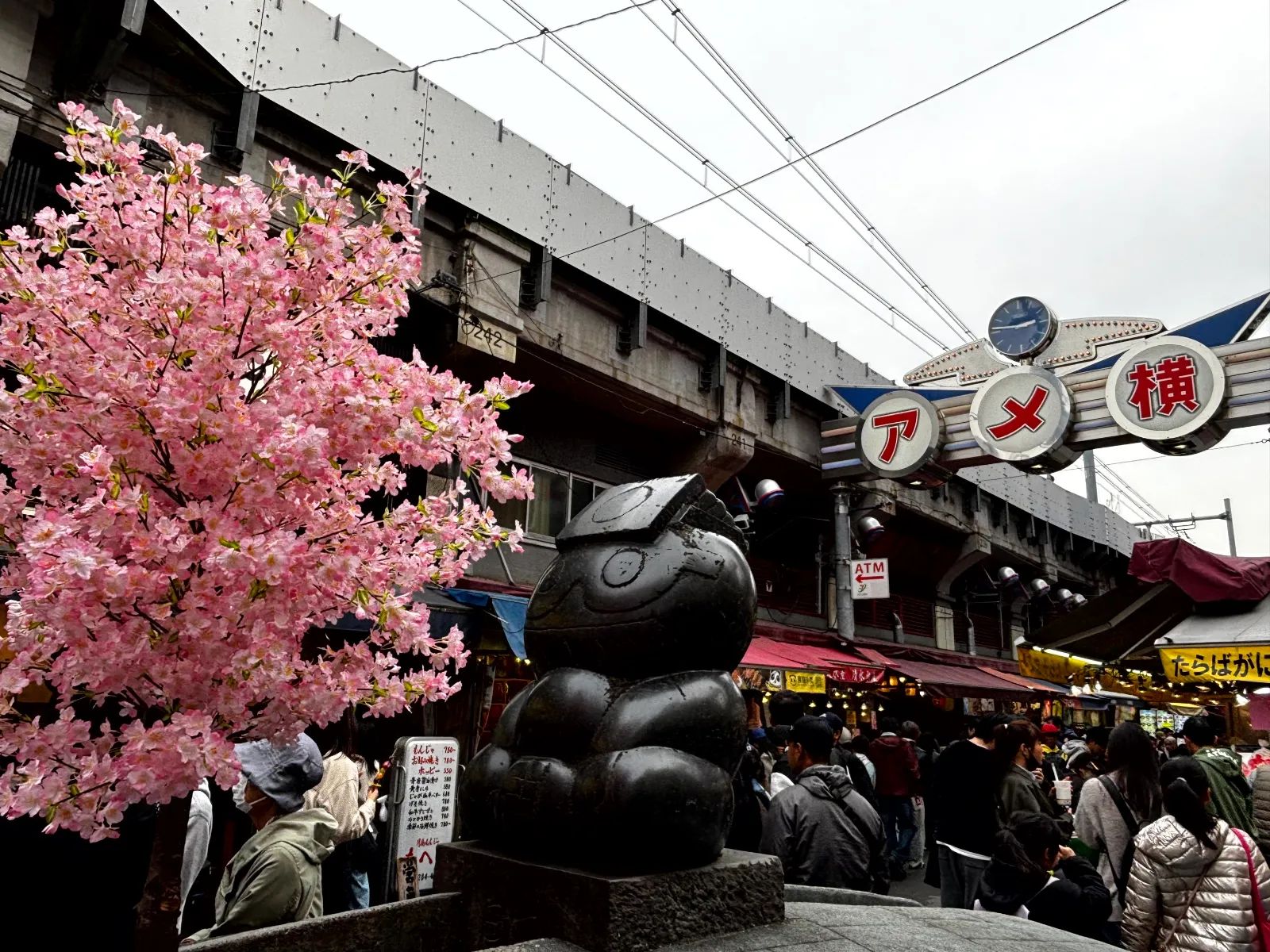 上野アメ横さくら祭り「謎解き＆お花見」回遊　Powered by 「Catrip上野」のナゾ活写真