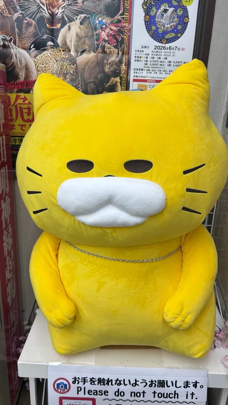 謎解きラリーin書泉グランデのナゾ活写真