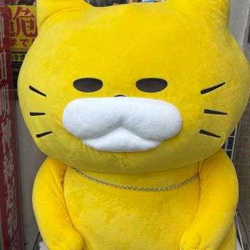 はまちさんのナゾ活写真 2