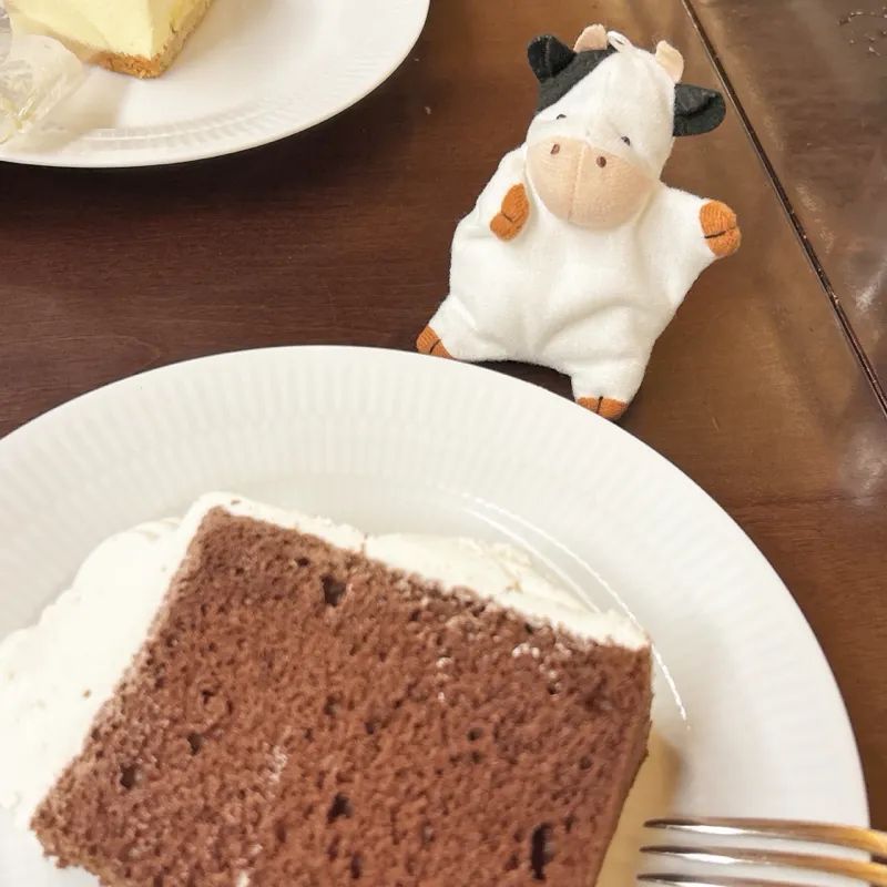 忘れ物探偵と消えた少女のナゾ活写真