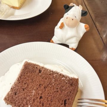 なんさんのナゾ活写真 1