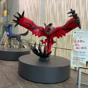 えりちょんさんのナゾ活写真 4