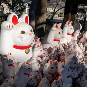 かんかんさんのナゾ活写真 2