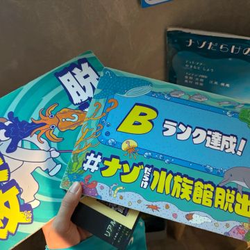 ペンギンさんのナゾ活写真 2