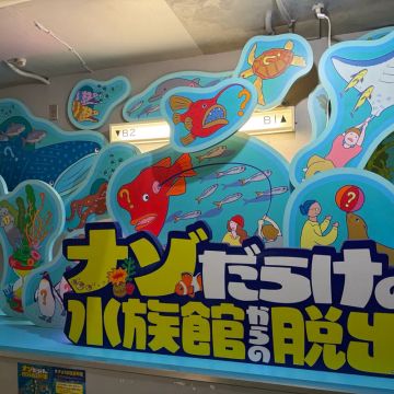 ペンギンさんのナゾ活写真 1