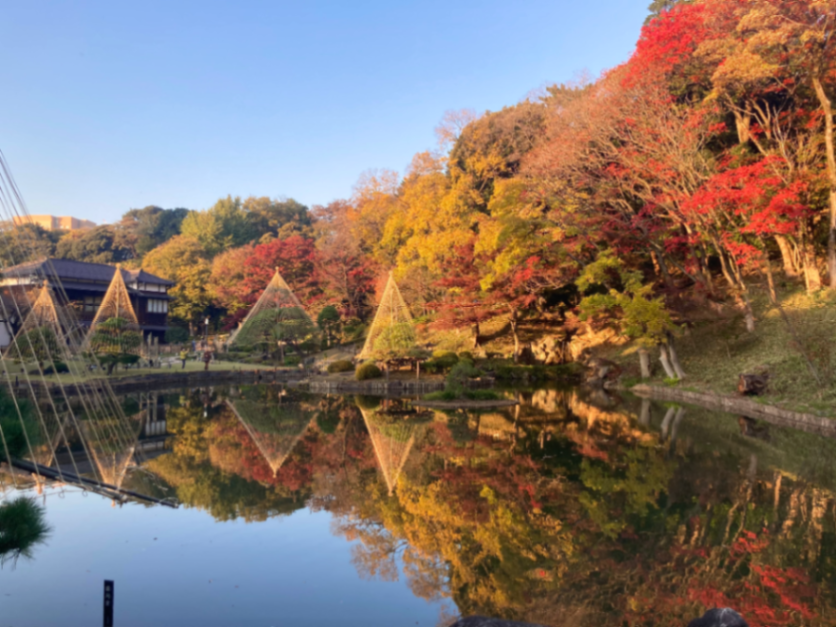 なぞ解きさんぽ2025 「たぬきへの指令書 KWAIDAN（かいだん）のなぞを解け」のナゾ活写真