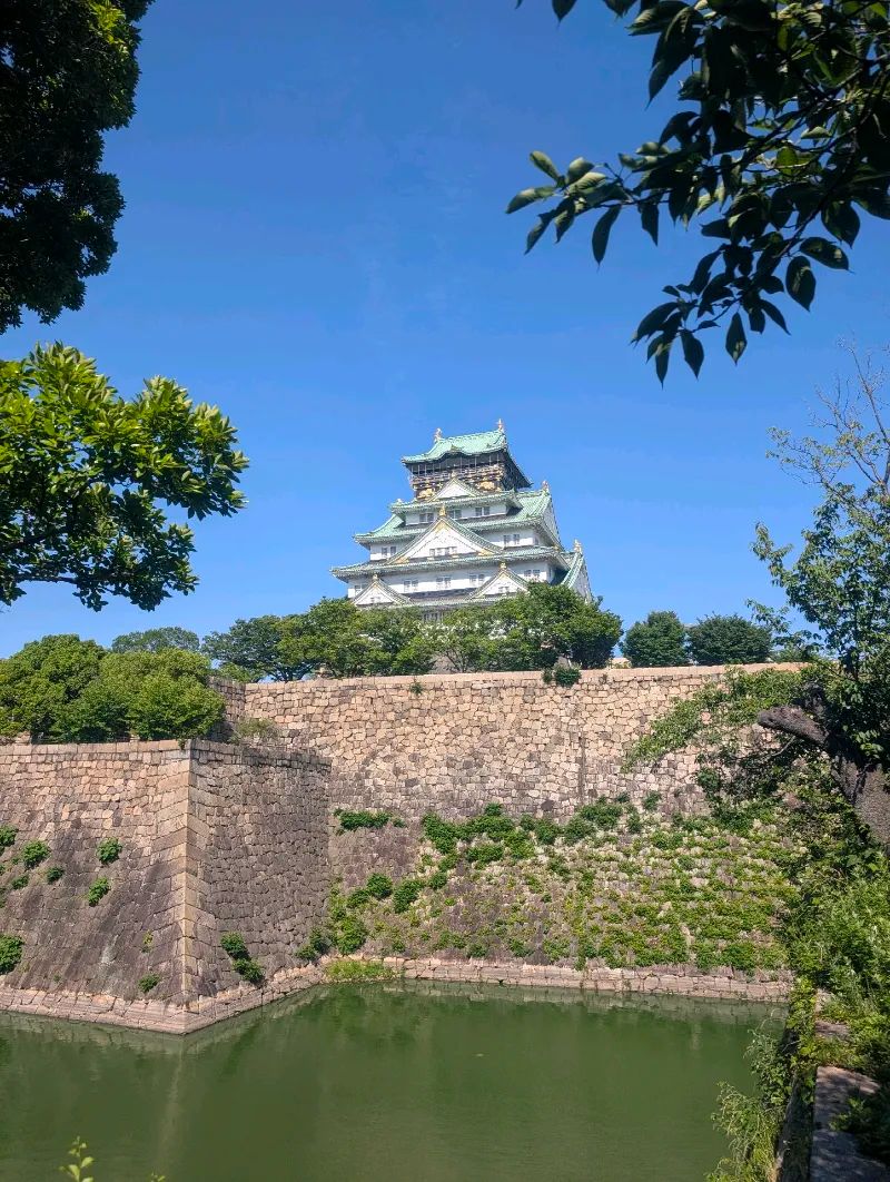 歴史リアル謎解きゲーム「謎の城」in大阪城「豊臣秀吉 野望が隠された天下人の城」のナゾ活写真