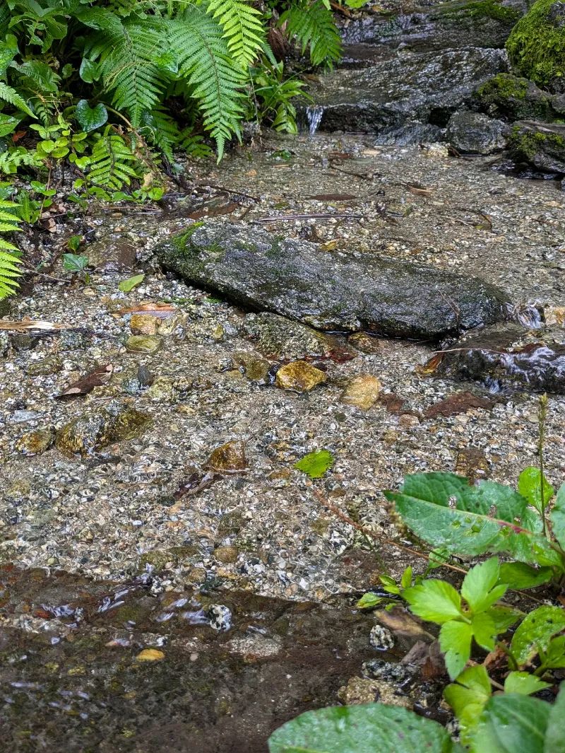 謎解き宝探し 椎葉村からの挑戦状 3 ひらけ！ふしぎな宝箱／4 さがせ！まぼろしの書のナゾ活写真