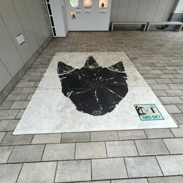 カーバンクルさんのナゾ活写真 3