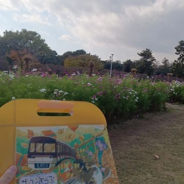 きのこさんのナゾ活写真 1
