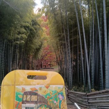 きのこさんのナゾ活写真 2