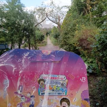 きのこさんのナゾ活写真 1