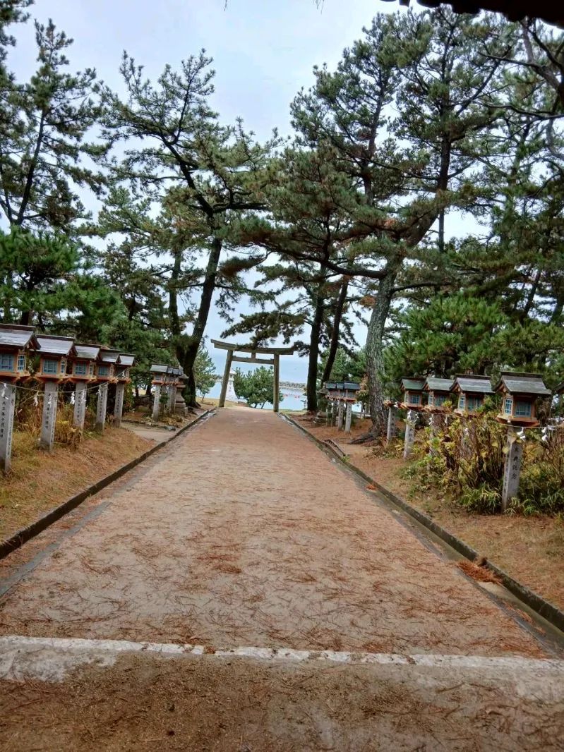 山陽電車×リアル謎解きゲーム『山陽なぞときさんぽ旅 2025』のナゾ活写真